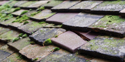 Llangattock Vibon Avel roof repair costs